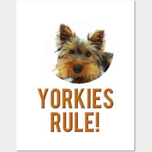 Yorkies Rule! Posters and Art